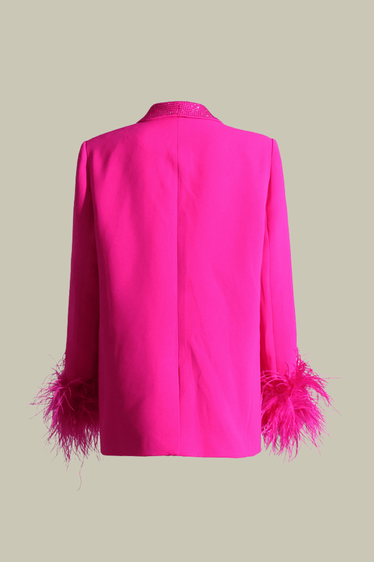 Lainey Rhinestone Embellished Feather Lapel Blazer